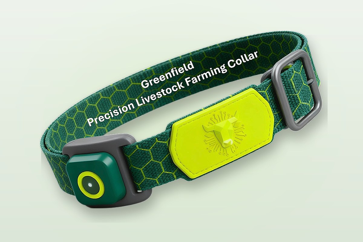 Greenfield Precision Livestock Farming Collar with sensor module