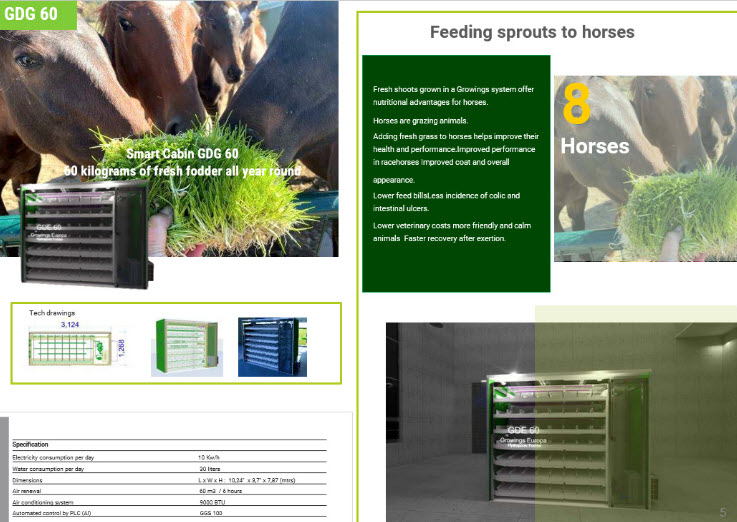 Horse fodder growing system