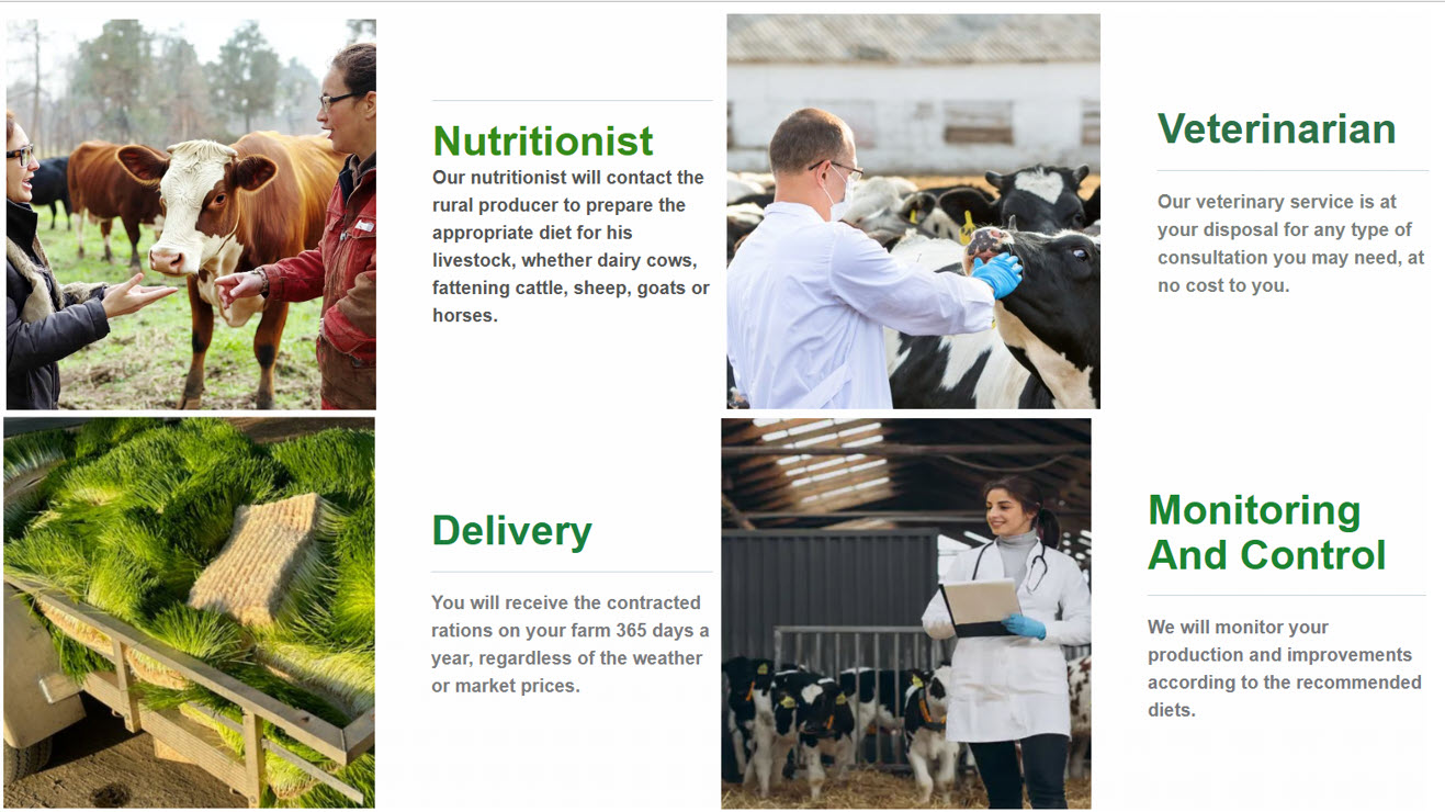 Nutritionist and veterinarian reviewing hydroponic fodder program