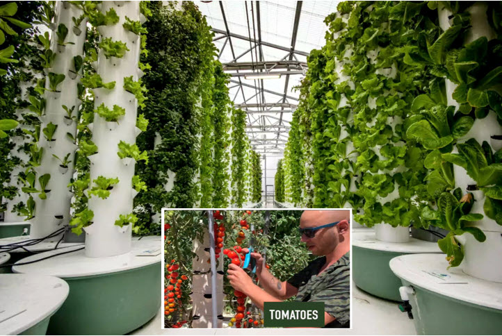 Resilient Local Food Production