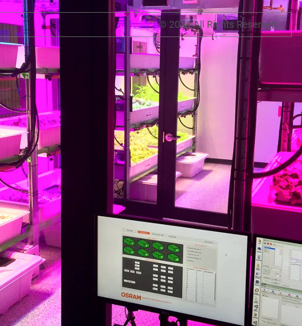 Turnkey Hydroponic System